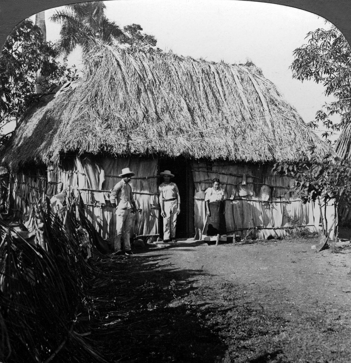 A Home in the Interior of the Island of Cuba by H. C. White