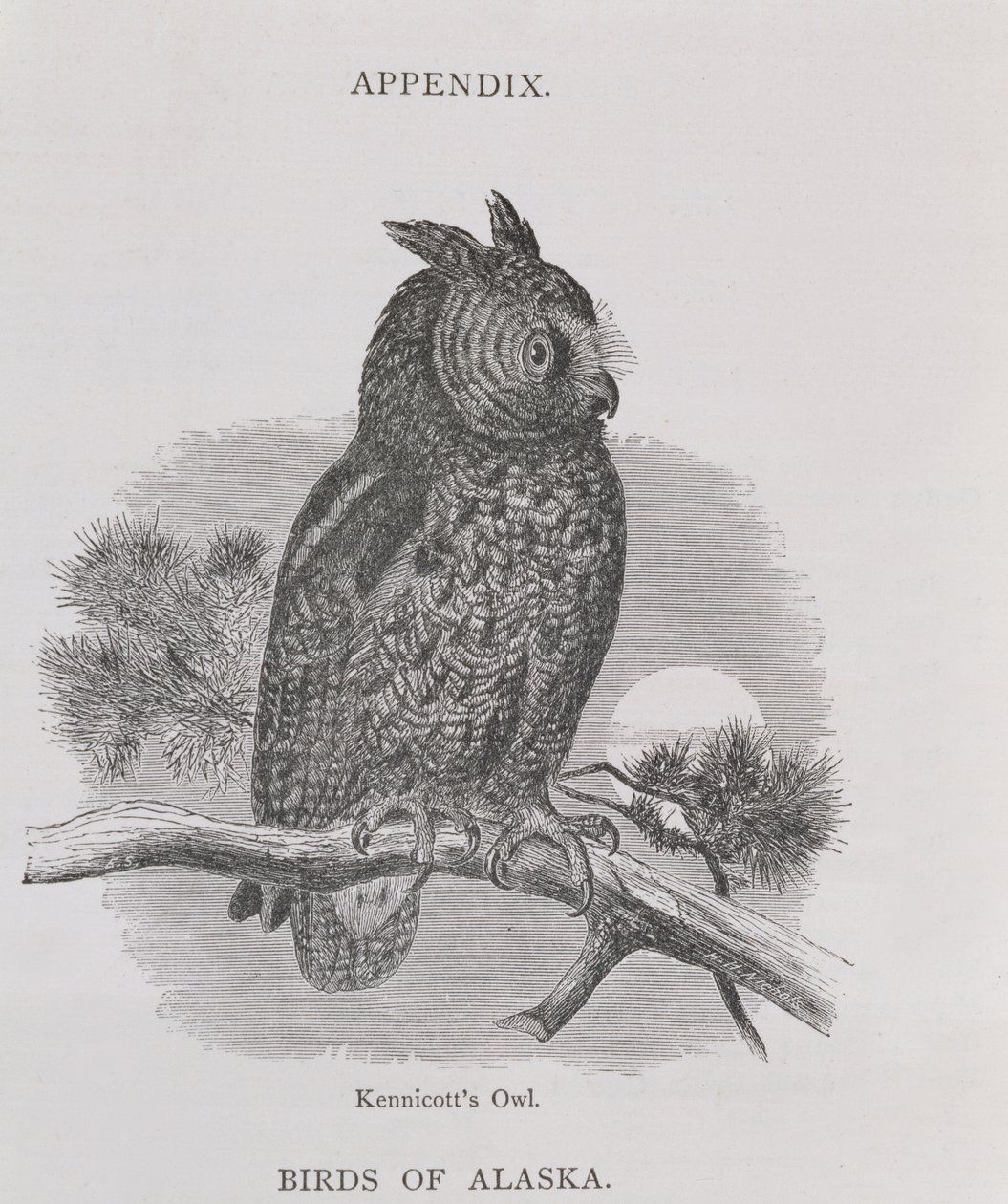 Kennicott