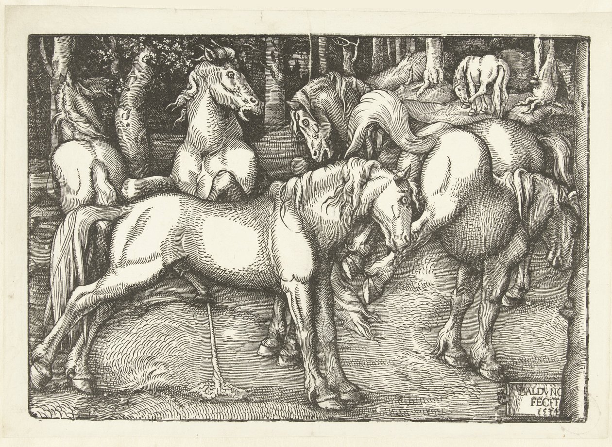 Group of Six Fighting Horses by Hans Baldung Grien