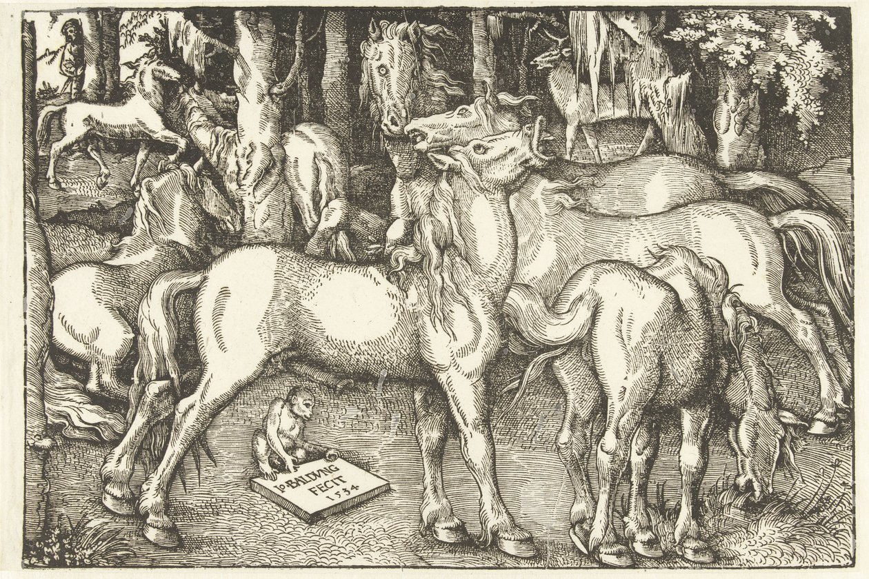 Group of Seven Horses and a Monkey by Hans Baldung Grien