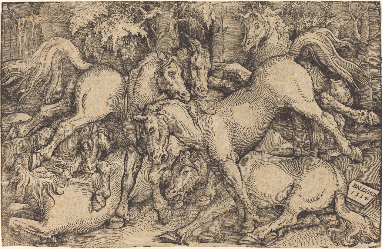 Group of Seven Horses in Woods by Hans Baldung Grien
