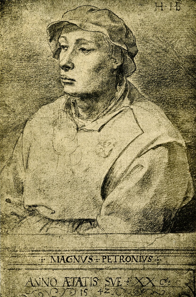 Magnus Petronius by Hans Holbein der Jüngere