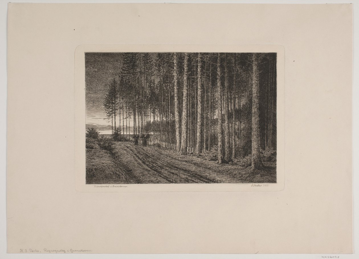 Rainy Day in the Pine Forest by Hans Julius Fæster