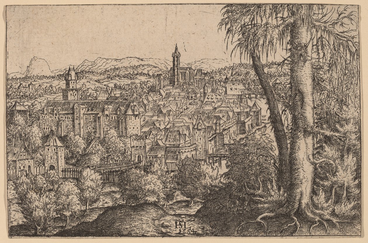 View of Steyr on Enns by Hans Sebald Lautensack