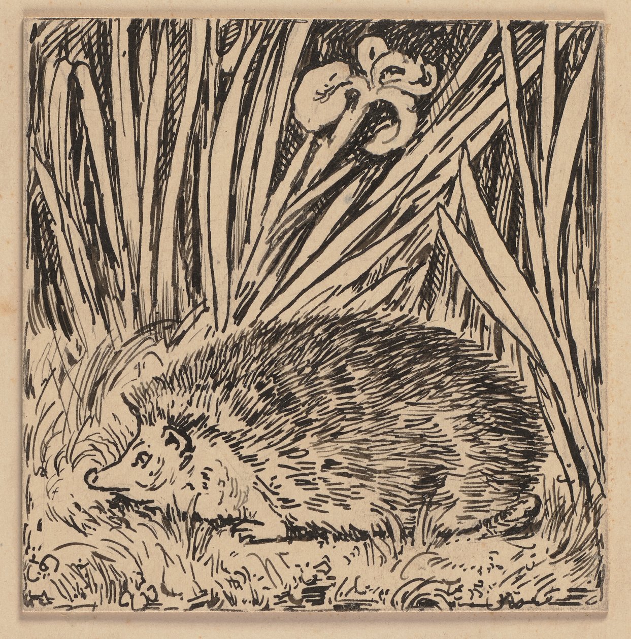 Drawing for the Primer: Hedgehog by Hans Thoma