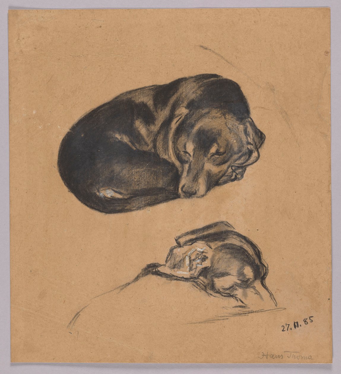 Two Studies of a Sleeping Dachshund by Hans Thoma