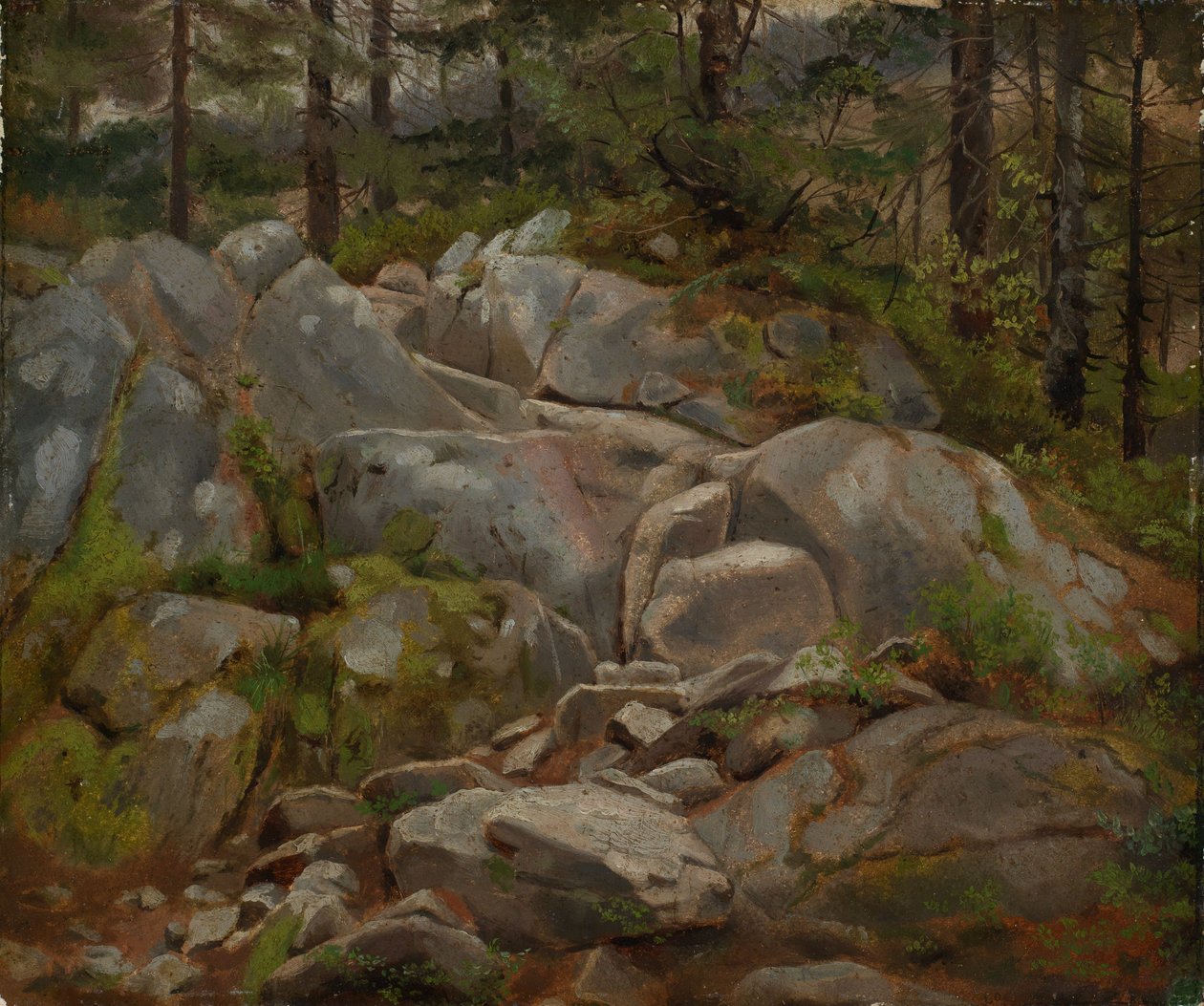 Rock Blocks with Fir Trunks by Hans Thoma