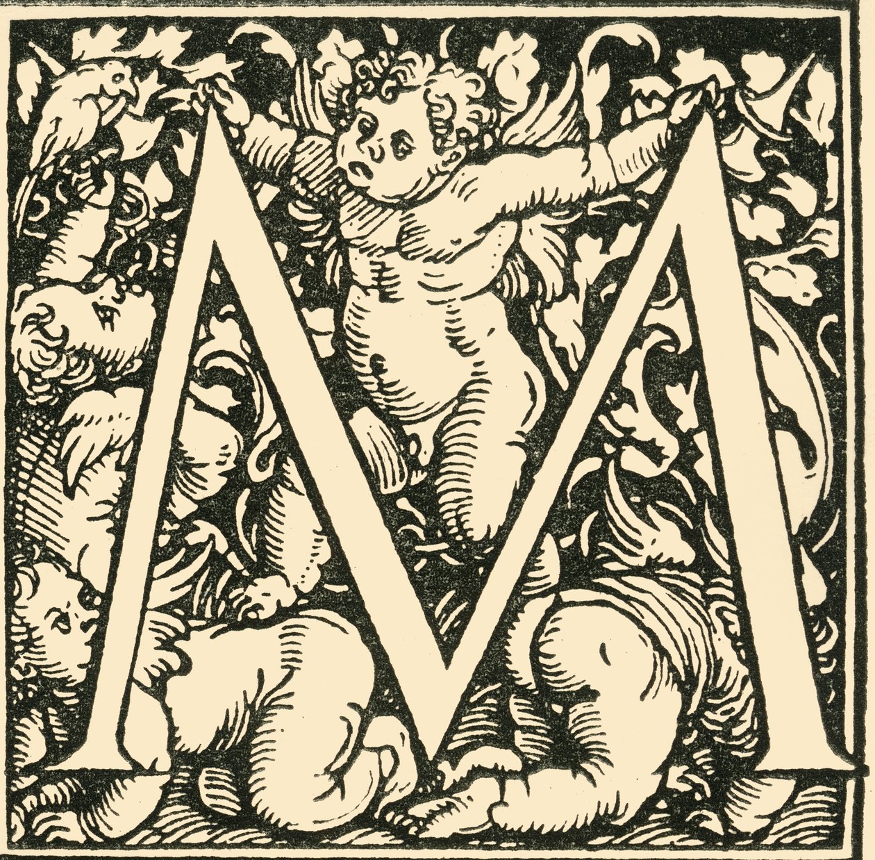 M - An Alphabet by Hans Weiditz by Hans Weiditz
