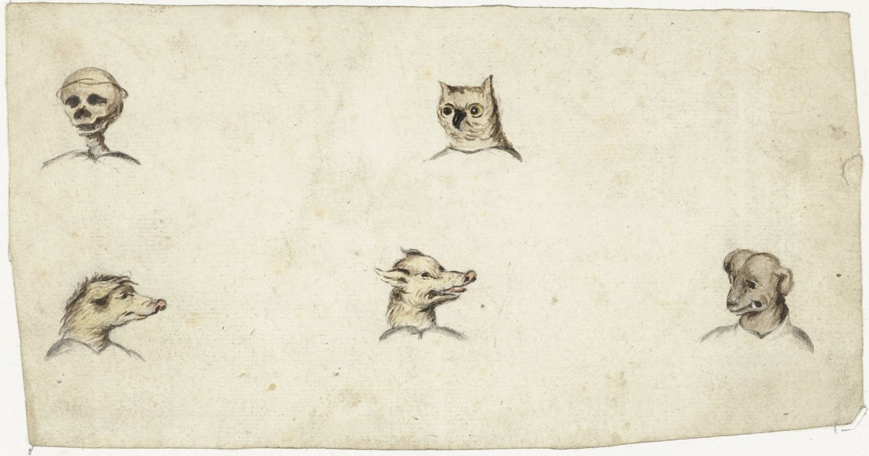 Heads of Four Animals and a Skeleton by Harmen ter Borch