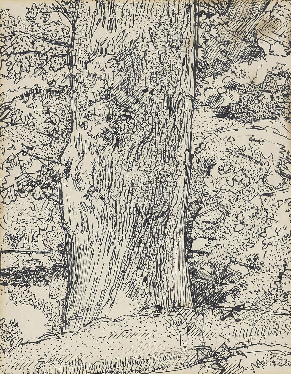 Tree by Harold Gilman