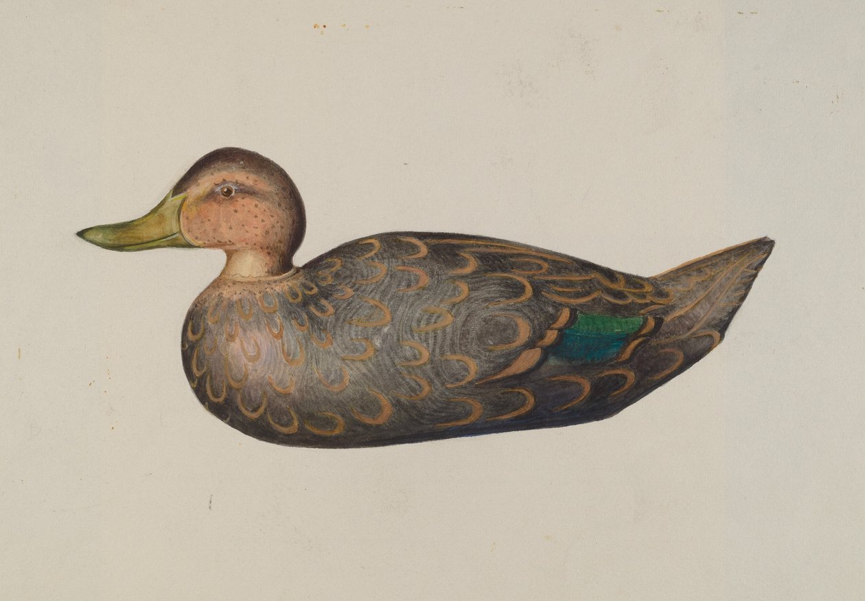 Decoy Duck by Harriette Gale