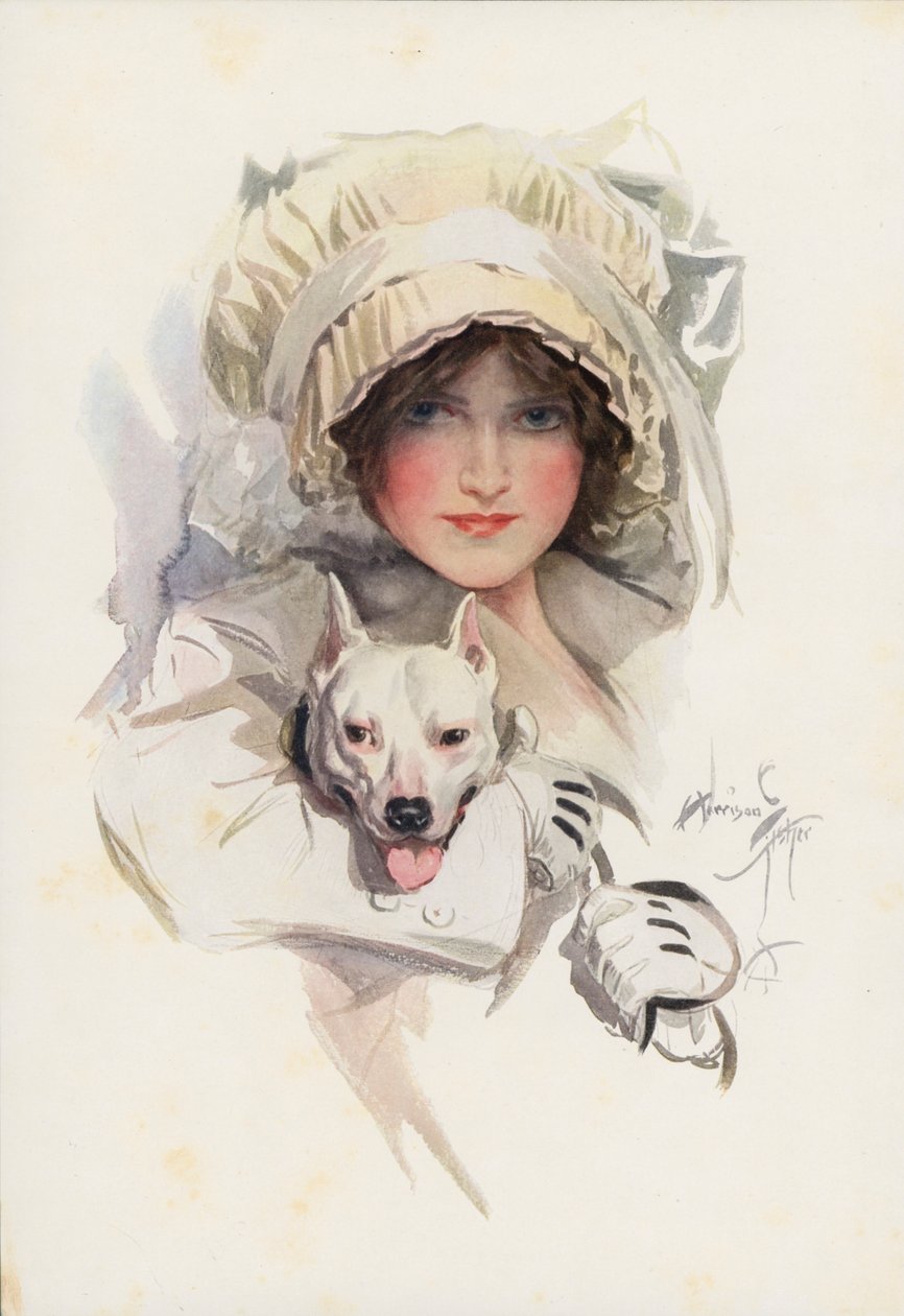 An Elusive Charm by Harrison Fisher