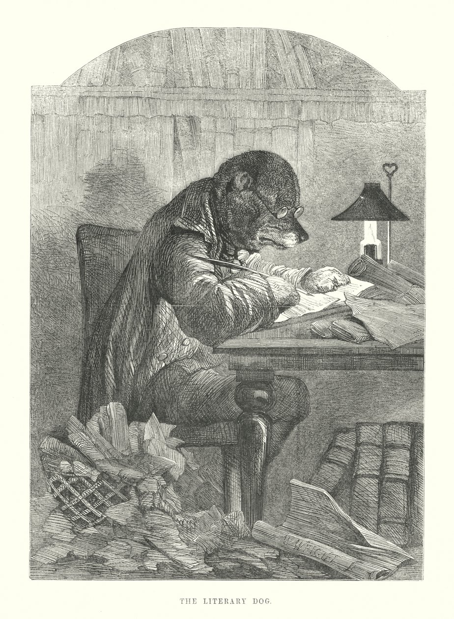 Funny Dogs: The Literary Dog by Harrison William Weir