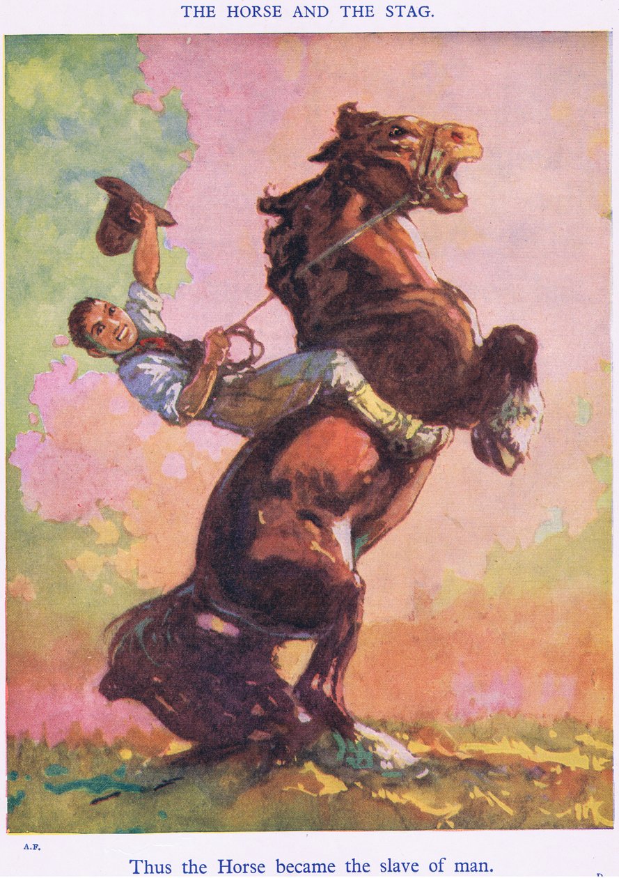 Thus the Horse Became the Slave of Man (from the Horse and the Stag) by Harry (1878 1950) Rountree
