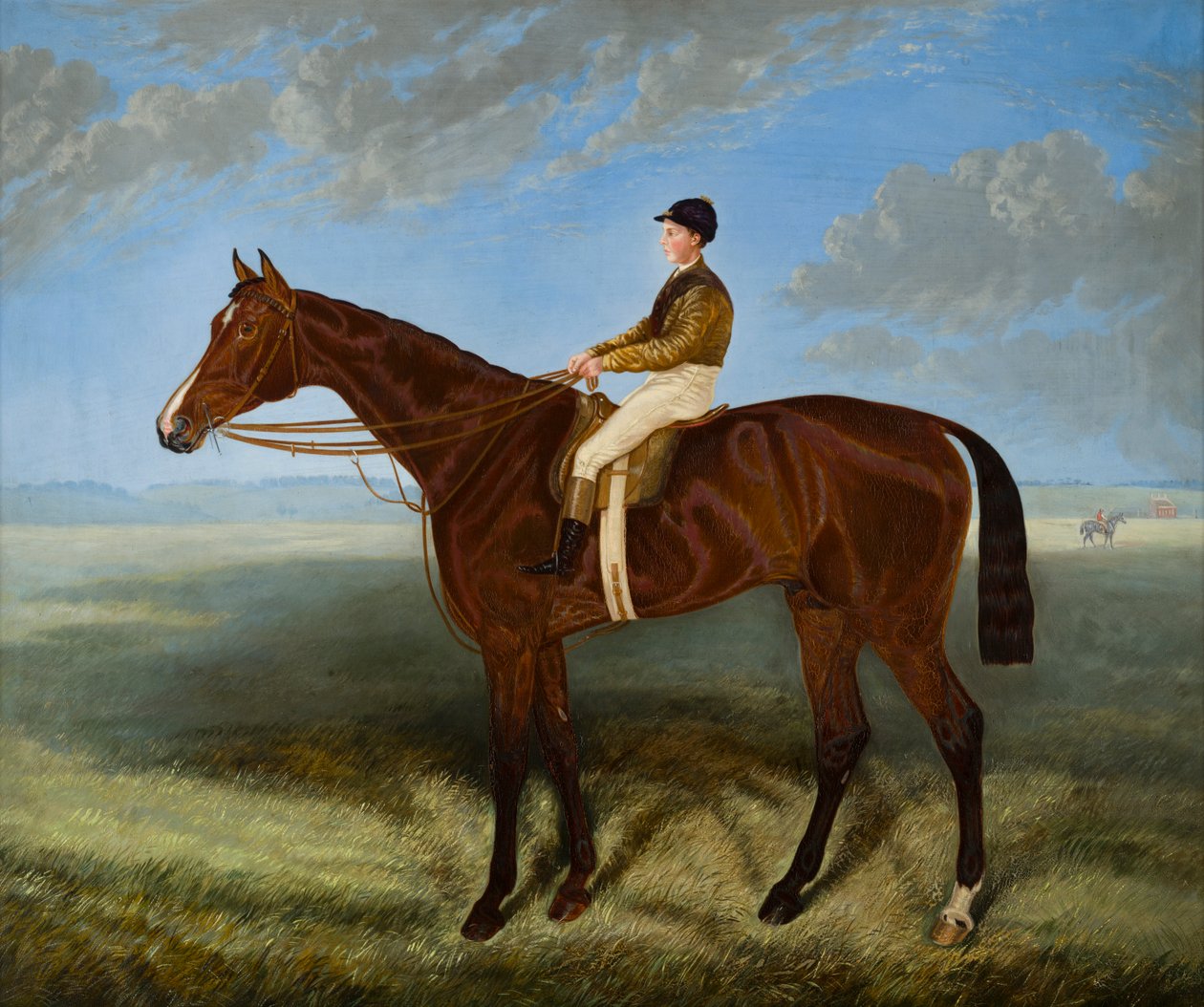 Salpinctes-a Race Horse by Harry (after) Hall