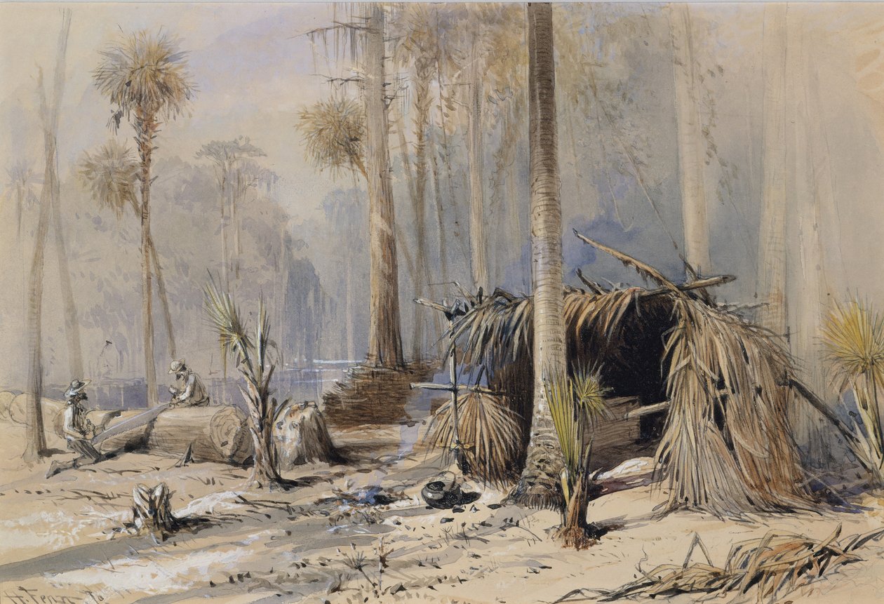 The Cypress-Shingle Yard, Ocklawaha River, Florida by Harry Fenn