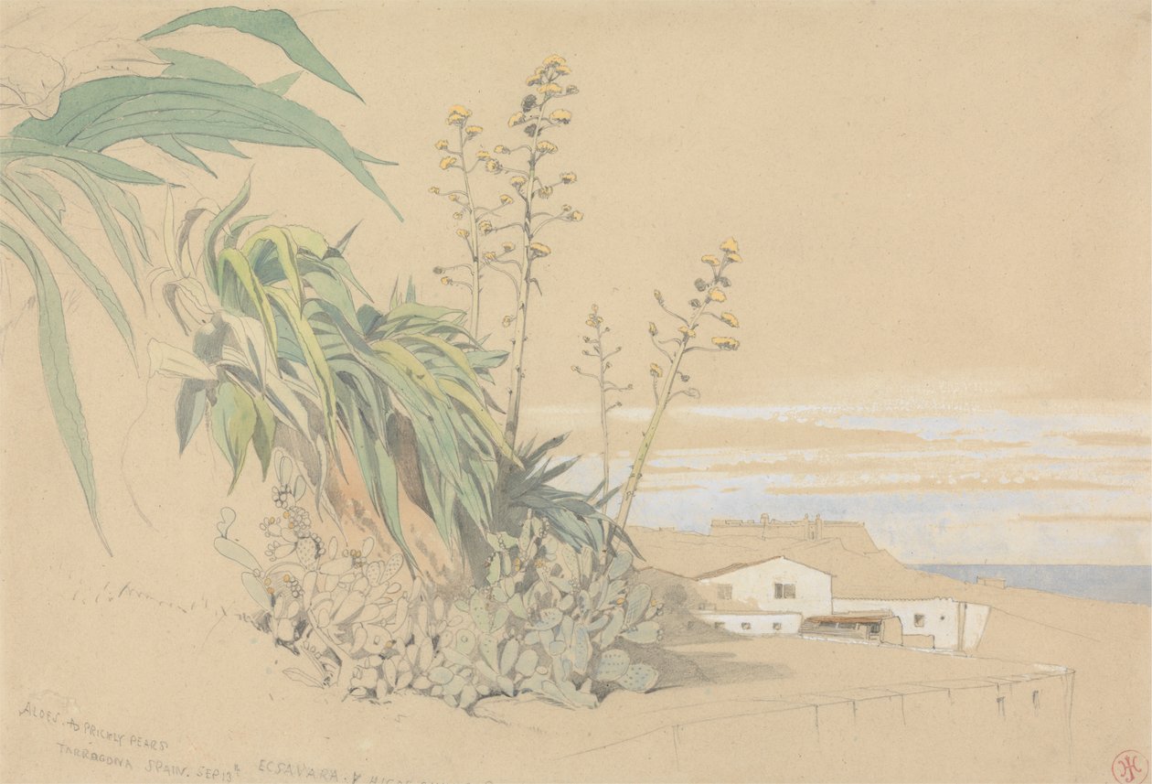 Aloes and Prickly Pears, Tarragona, Spain by Harry John Johnson
