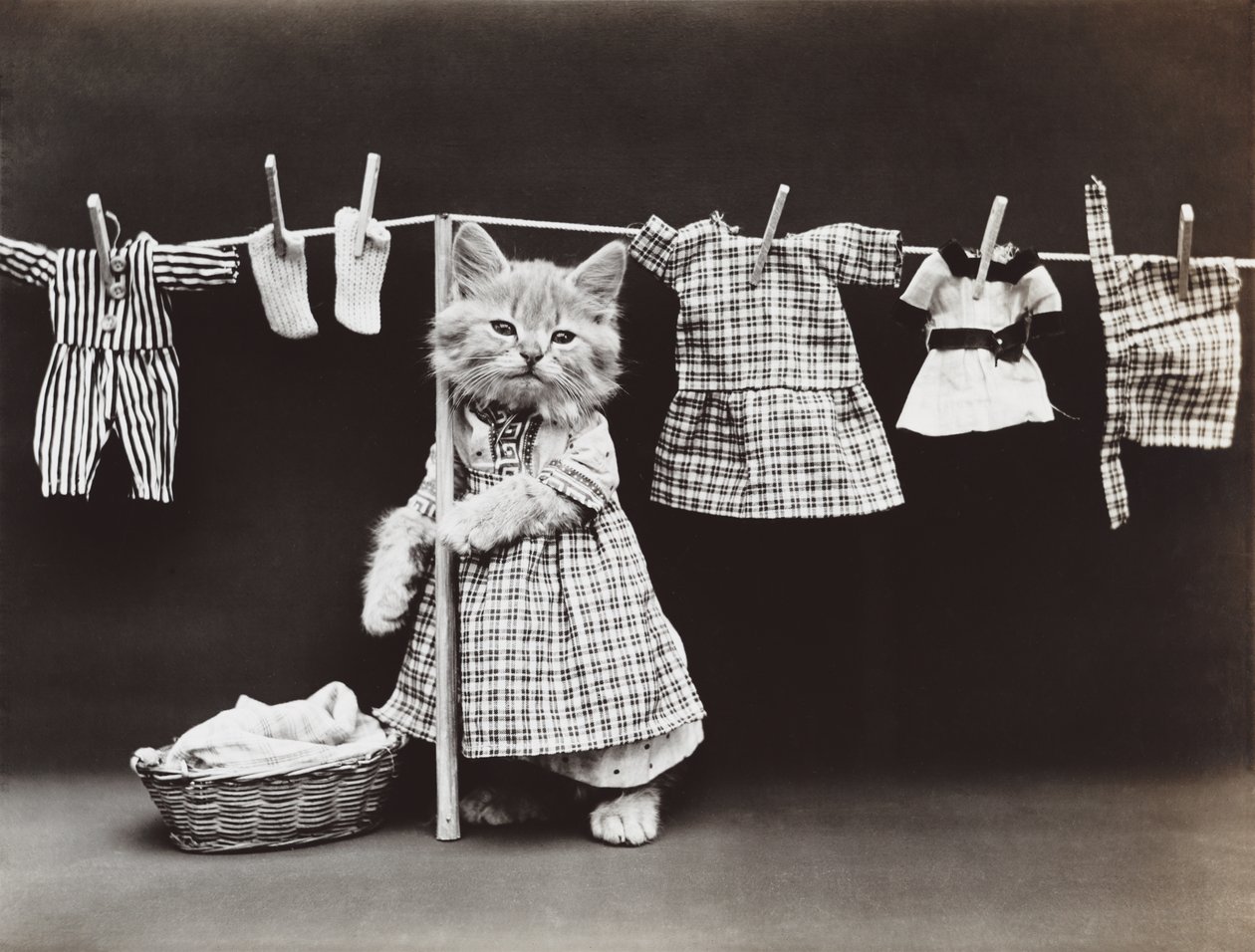 Kitties Series: Drying Laundry, c.1914 by Harry Whittier Frees