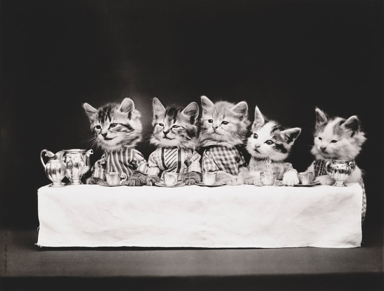 Kitties Series: Last Supper, c.1914 by Harry Whittier Frees