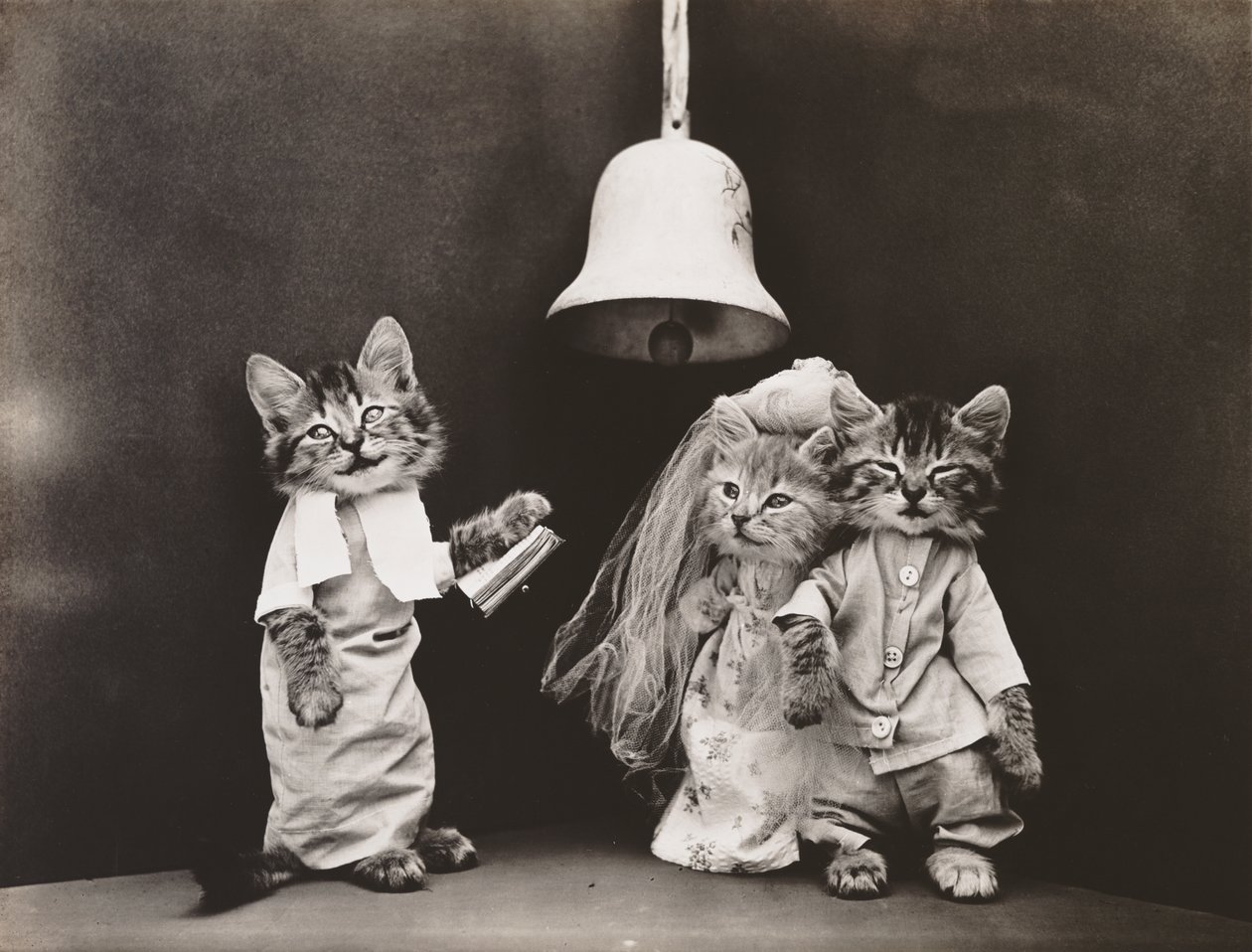Kitties Series: Wedding, c.1914 by Harry Whittier Frees