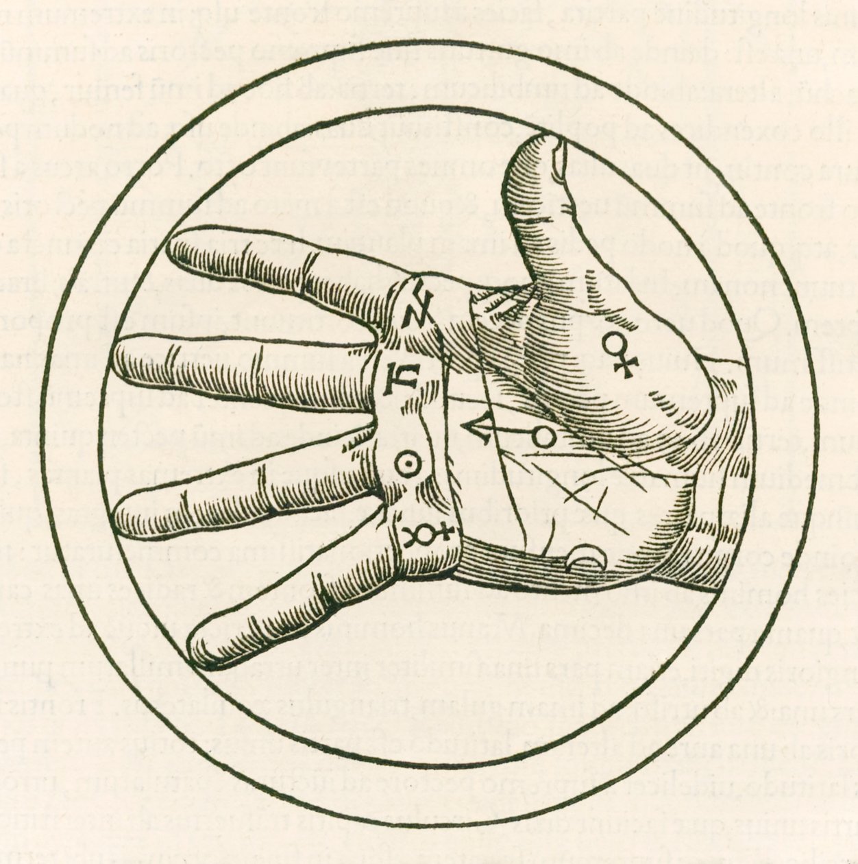 The Hand of Palmistry Engraving from Heinrich Cornelius Agrippa von Nettesheim (1486-1535) De Occulta Philosophia Libri Tres by Heinrich Cornelius Agrippa von Nettesheim