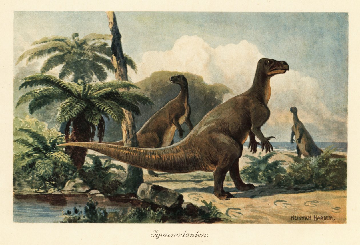 Iguanodon Bernissartensis in a Prehistoric Fern Forest by Heinrich Harder