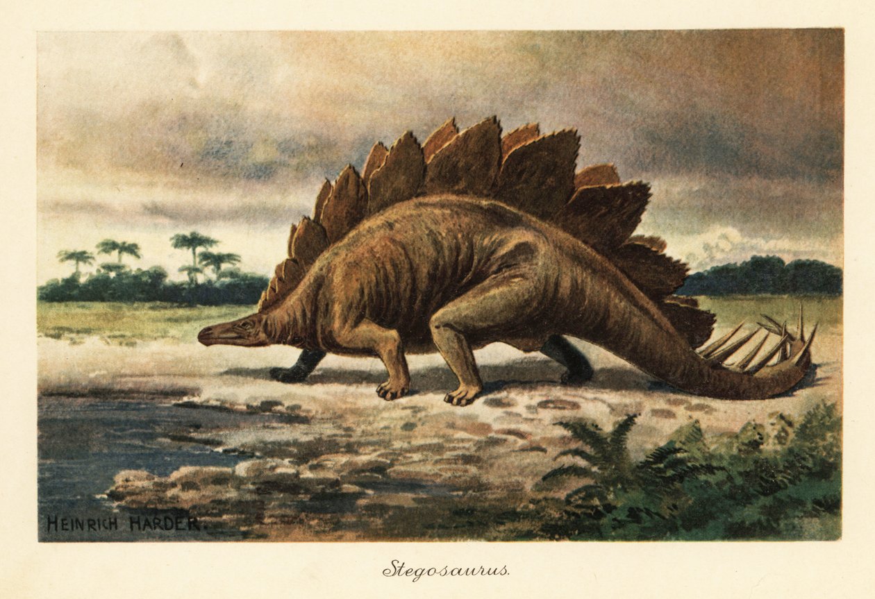 Stegosaurus Armatus of the Late Jurassic by Heinrich Harder