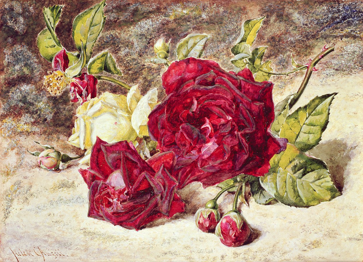 One White and Two Red Roses and Buds by Helen Cordelia Coleman Angell