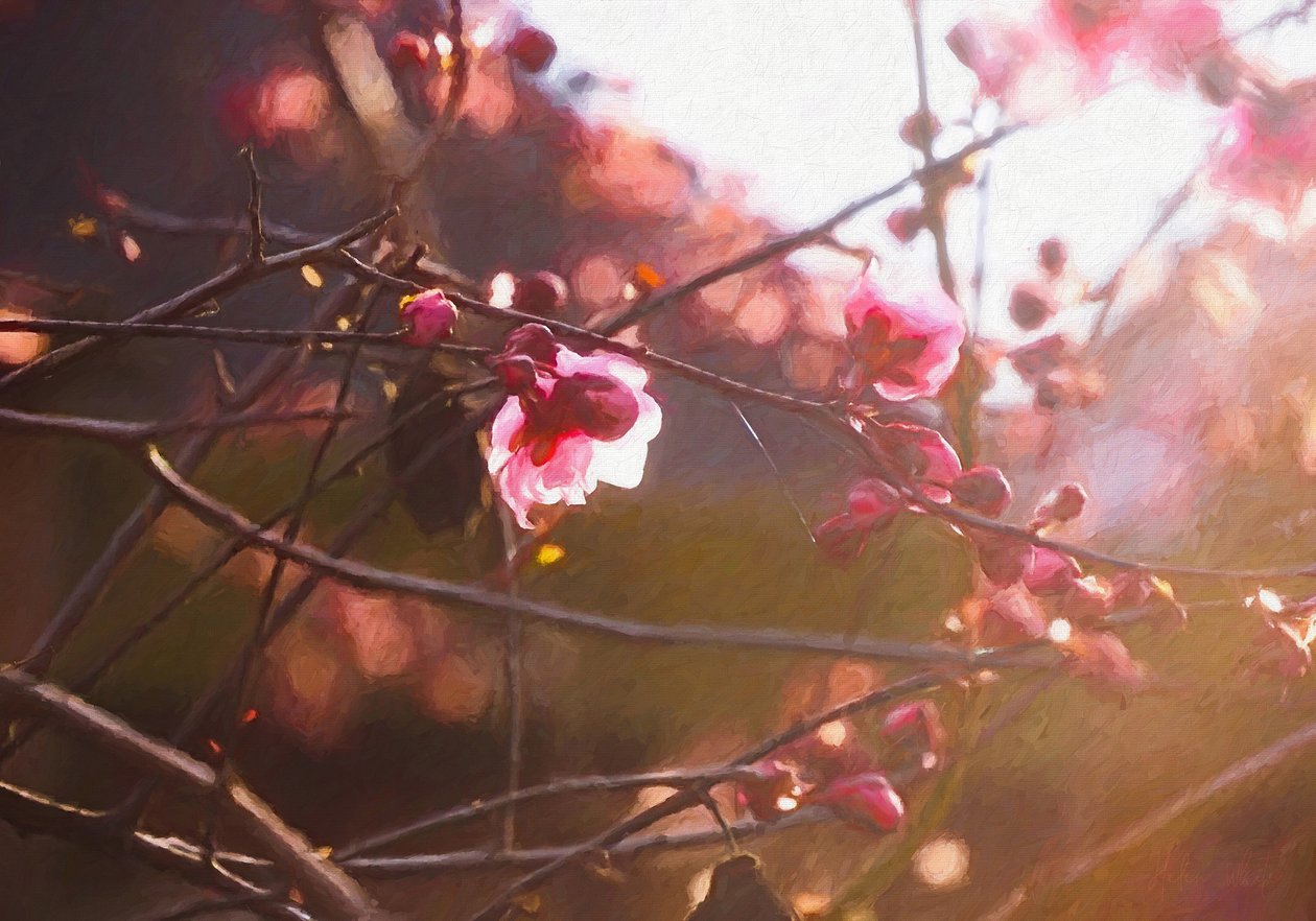 First Light of Spring by Helen White