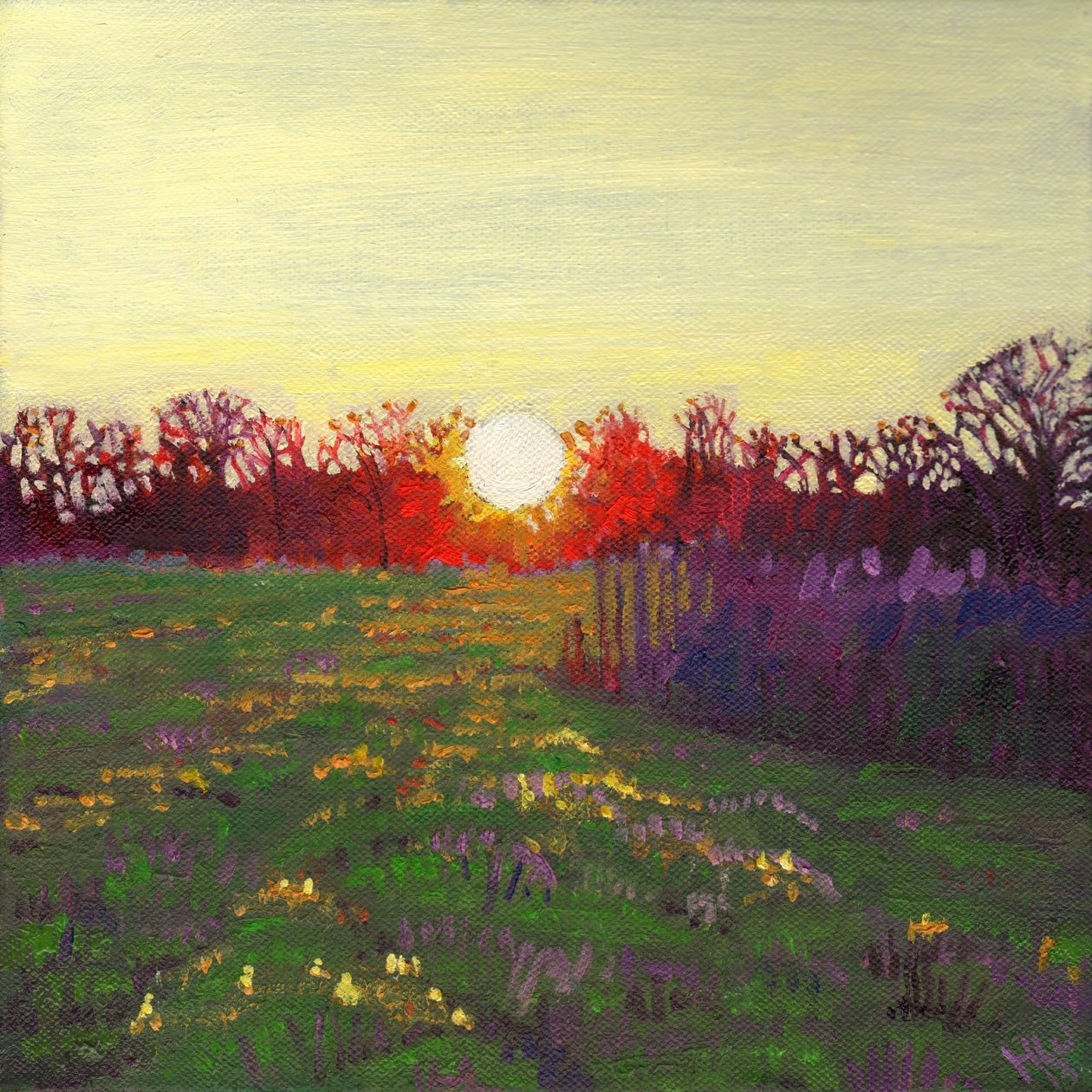 Path of light, 2013 by Helen White