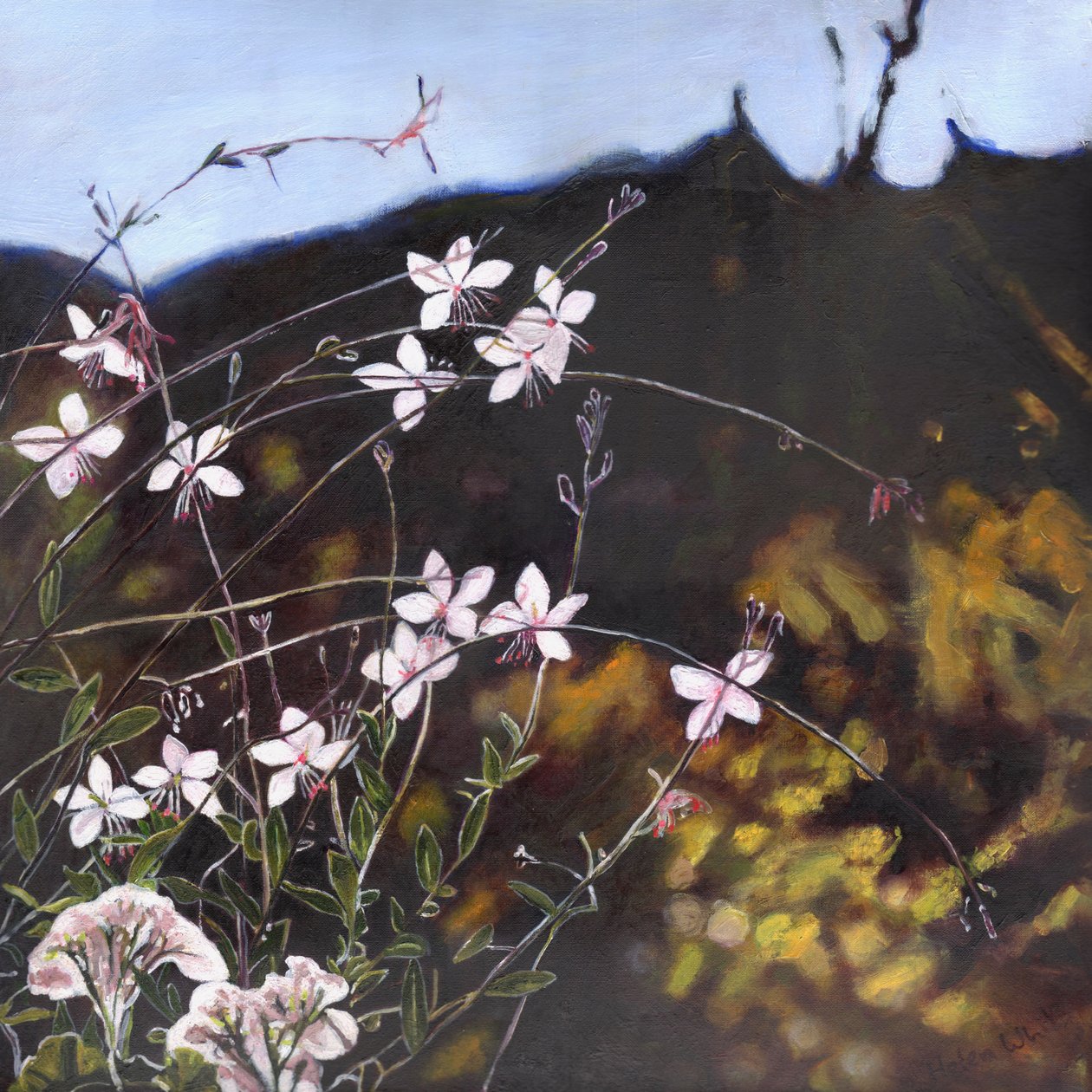 Provencal Garden I by Helen White