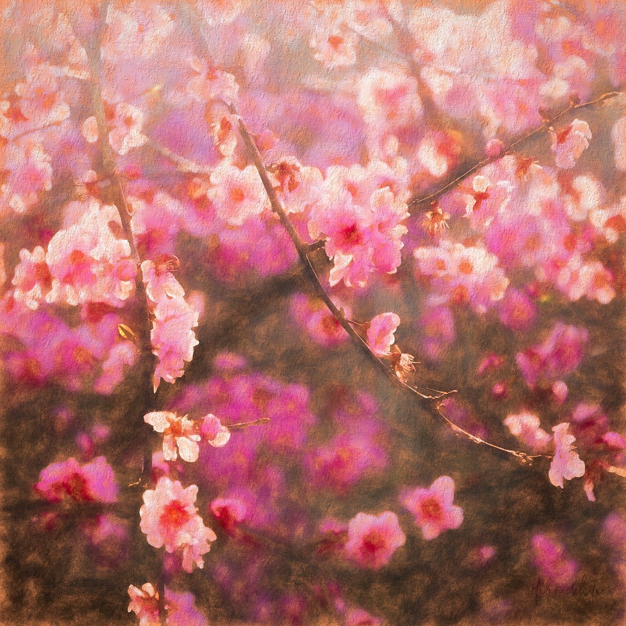 Spring Sprung by Helen White