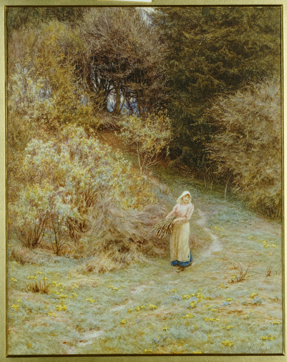 In the Primrose Wood by Helen Allingham