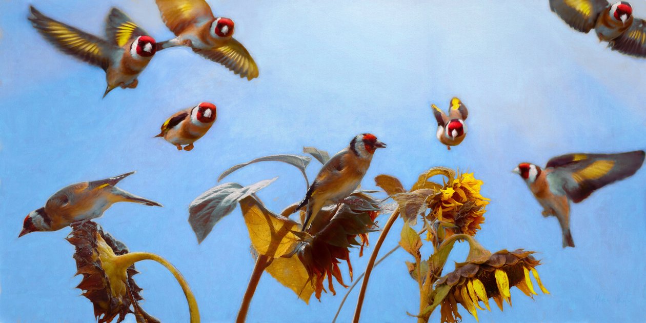 A Charm of Goldfinches by Helen White