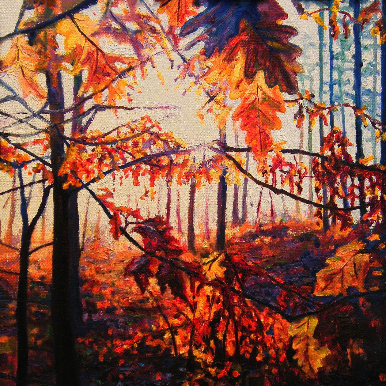 Copper Woods, 2009 by Helen White