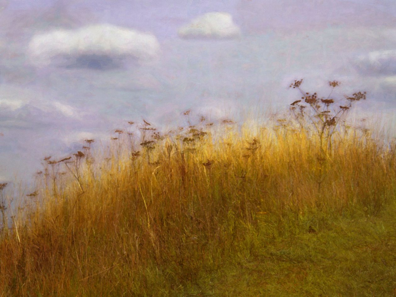 Drifting, 2019 by Helen White