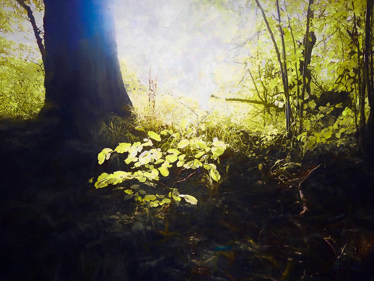 Hallowed Place by Helen White