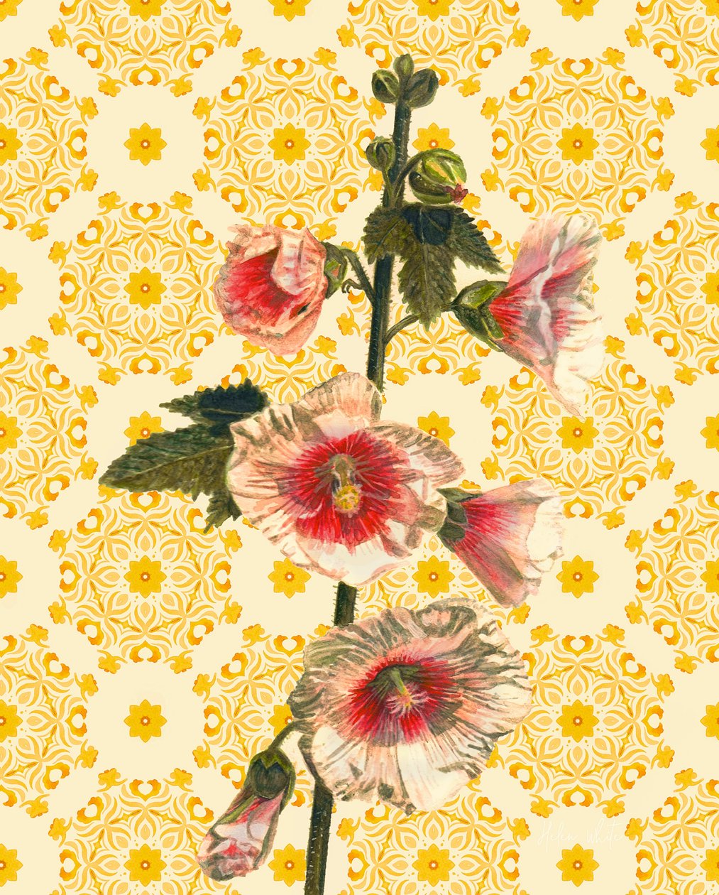 Hollyhocks on Sunshine by Helen White