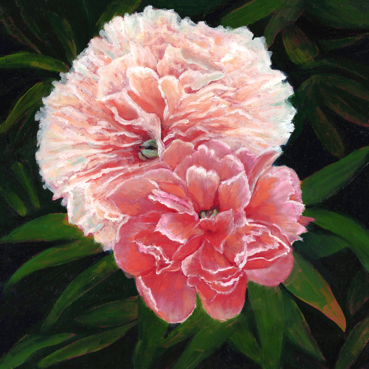 Magdalen College Peonies, 2023 by Helen White