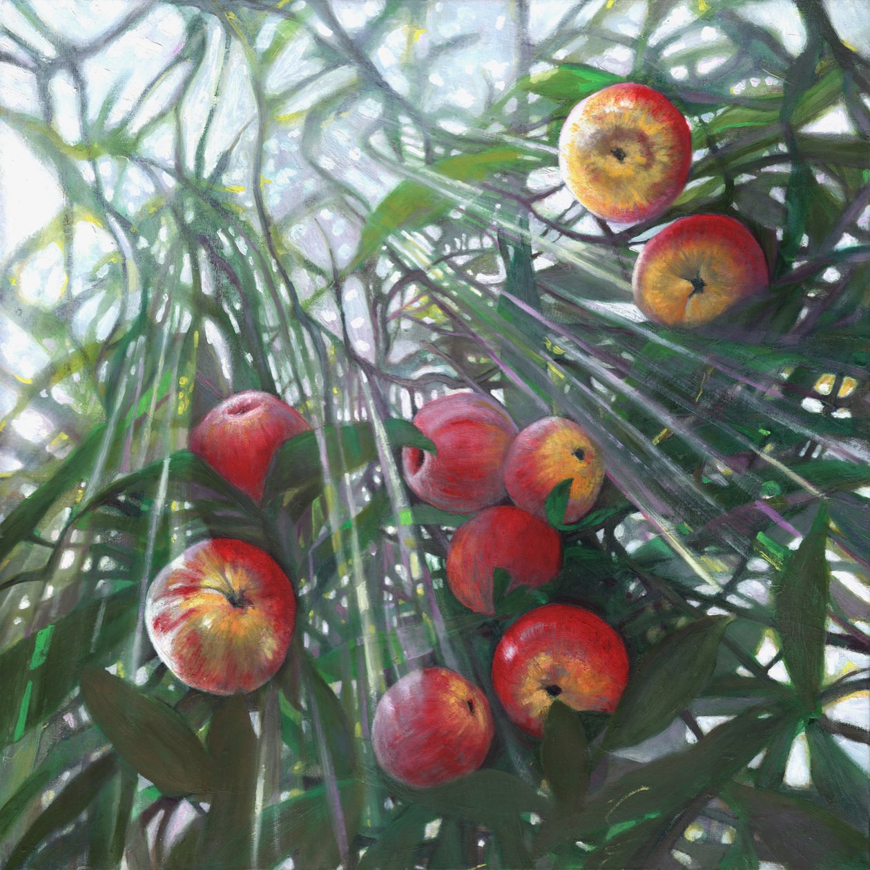 New Light on Eden, 2016 by Helen White