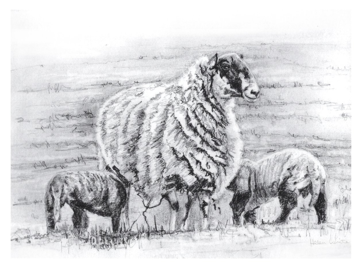 Proud, 2012 by Helen White