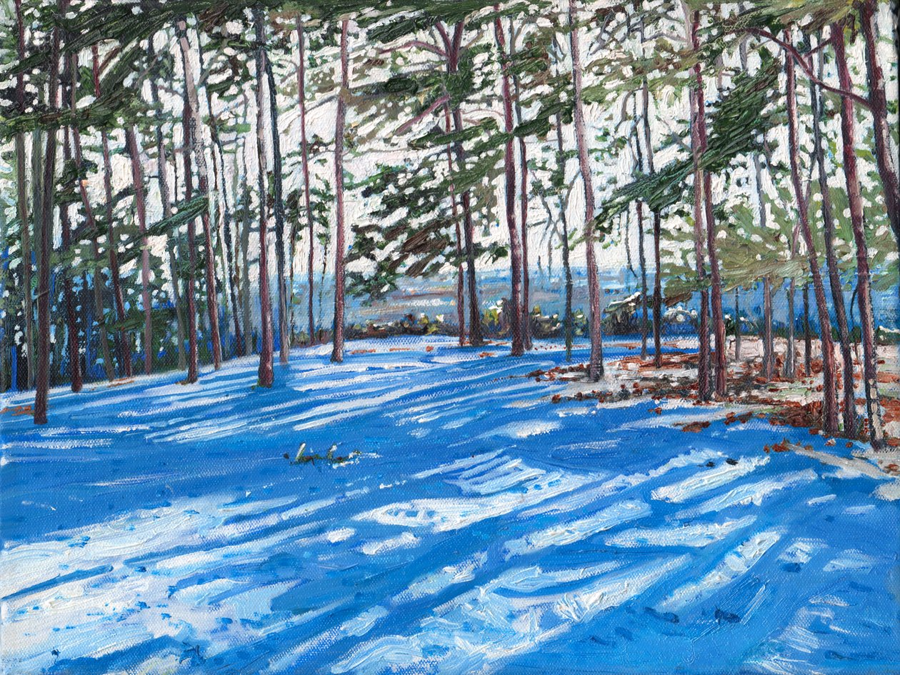 Snowy Ridge by Helen White