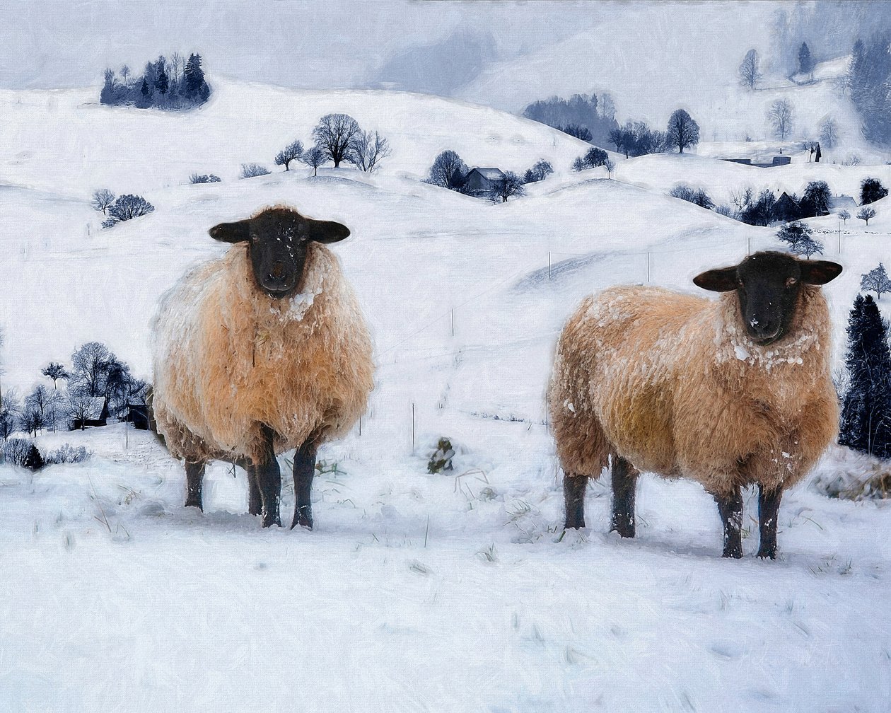 Winter Coats by Helen White