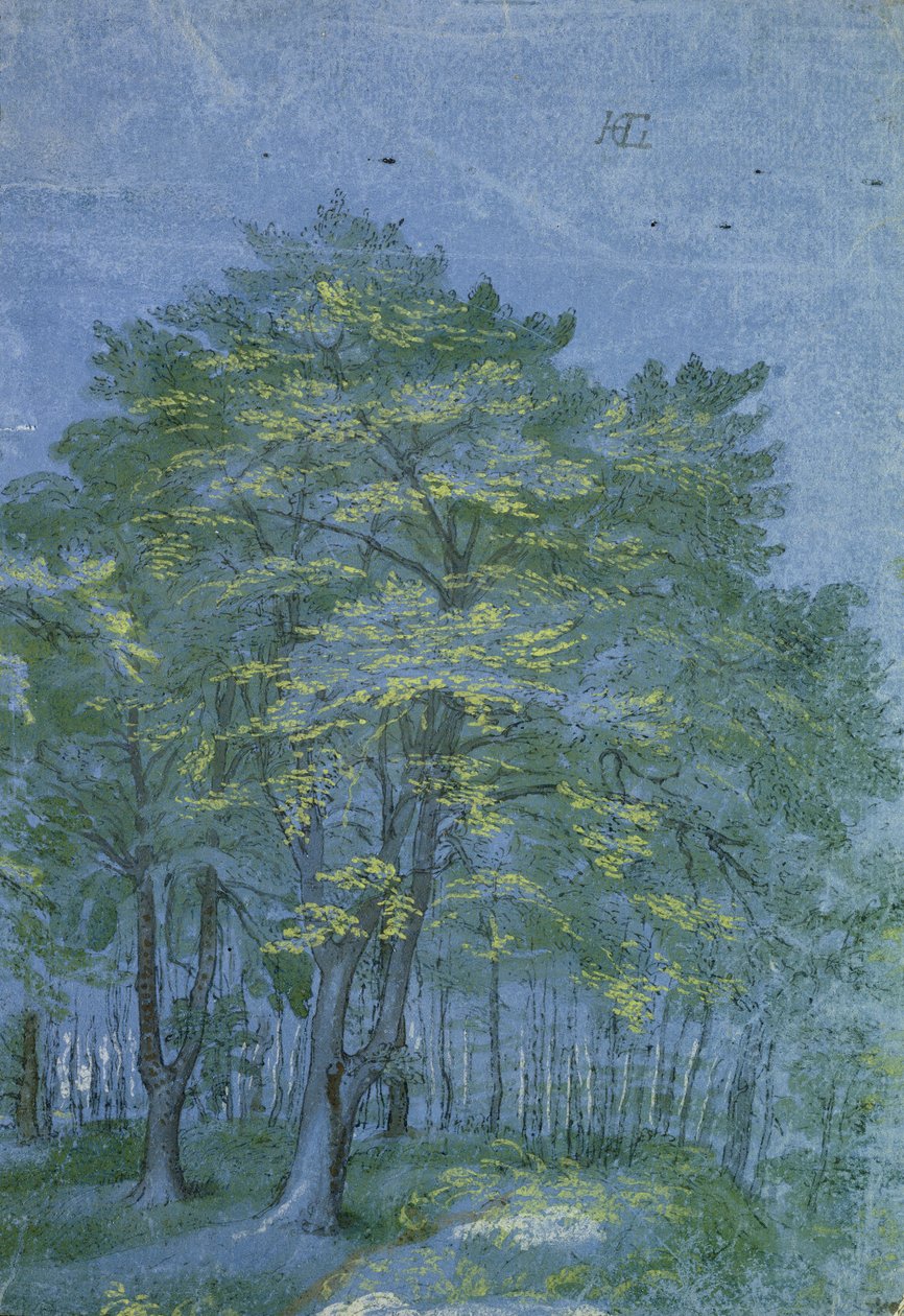 Group of Trees in a Wood, c.1600 by Hendrik Goltzius