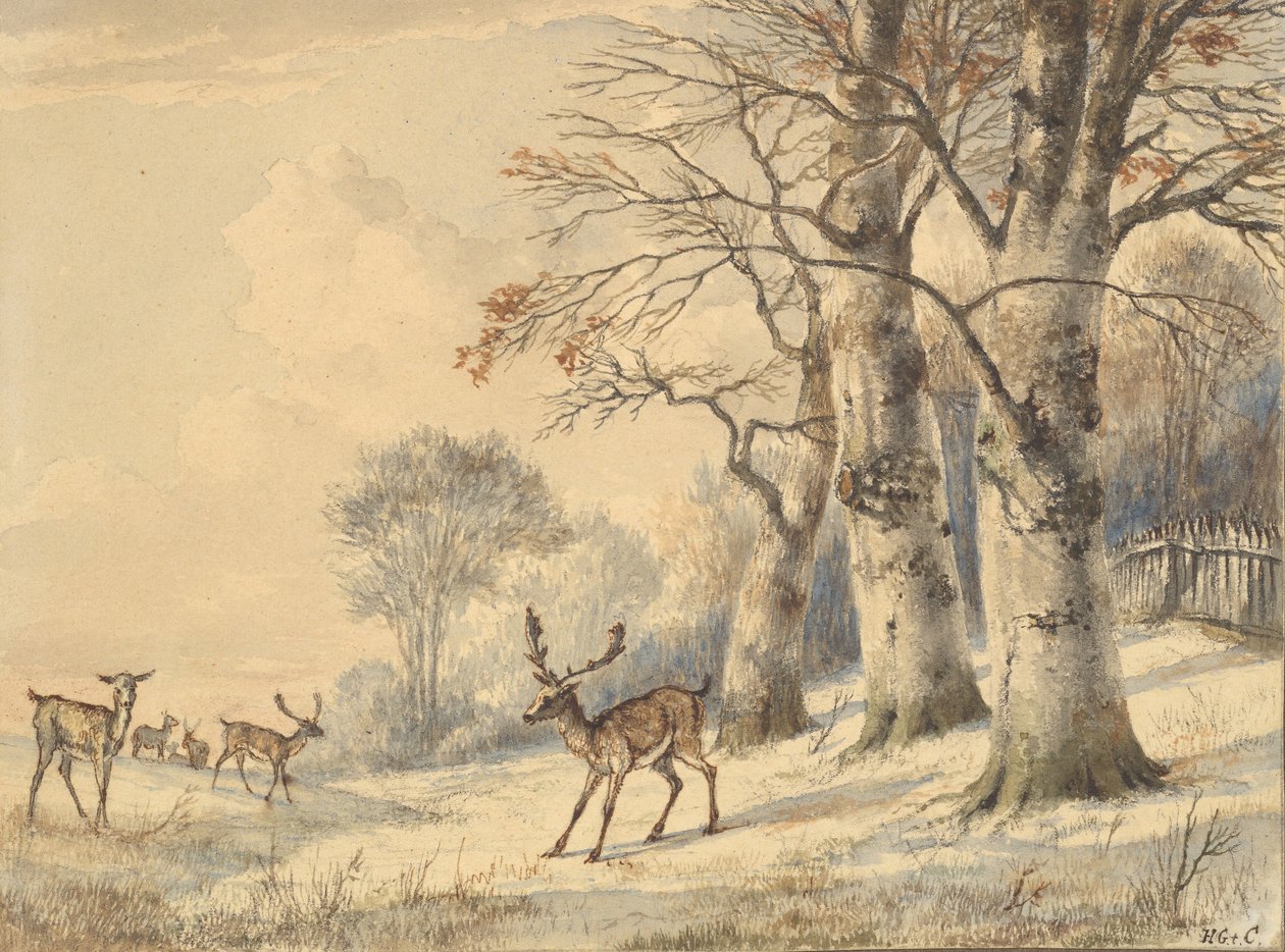 Deer under Beech Trees in Summer, 1853 by Hendrik Gerrit ten Cate
