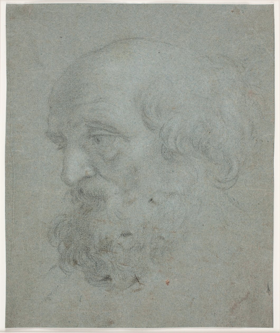 Bearded Man