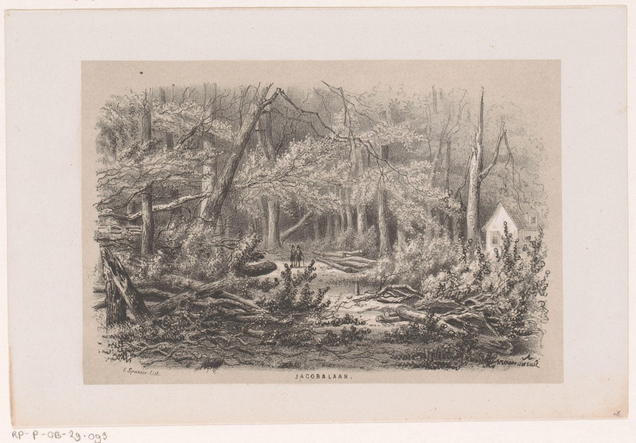 Fallen Trees at Jacobalaan After the Storm of May 28, 1860 by Hendrik Wilhelmus Last