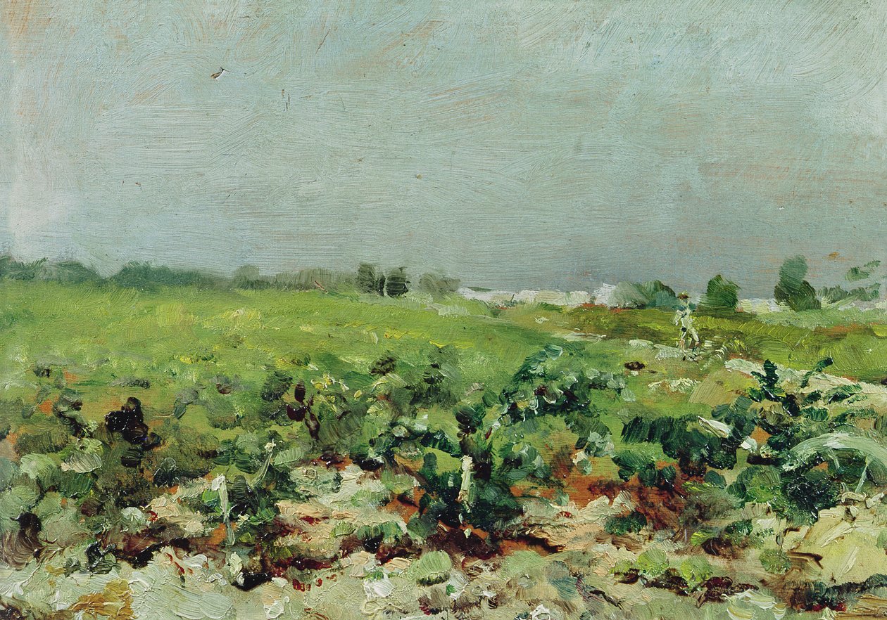 Celeyran, View of the Vineyard by Henri de Toulouse Lautrec