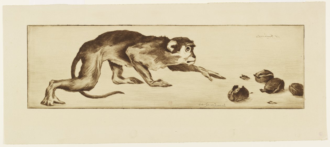 Monkey and Chestnuts, 19th Century by Henri Charles Guérard