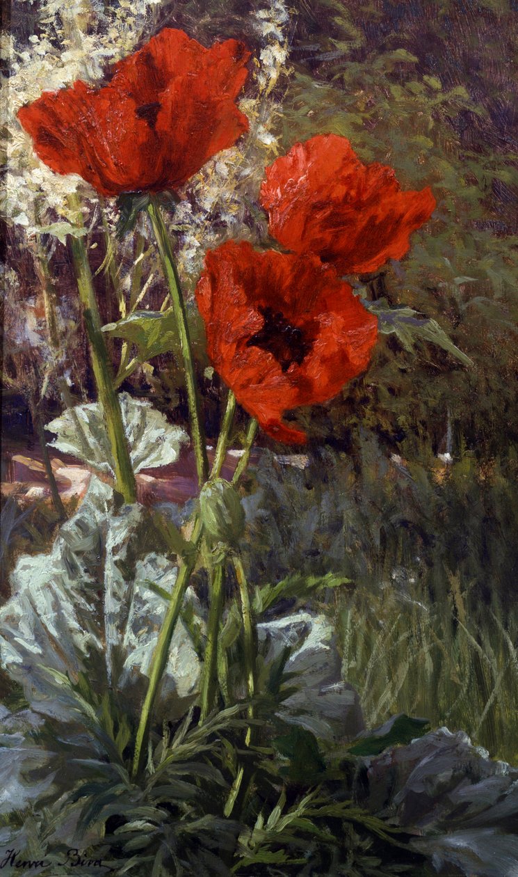 Poppies by Henri Biva
